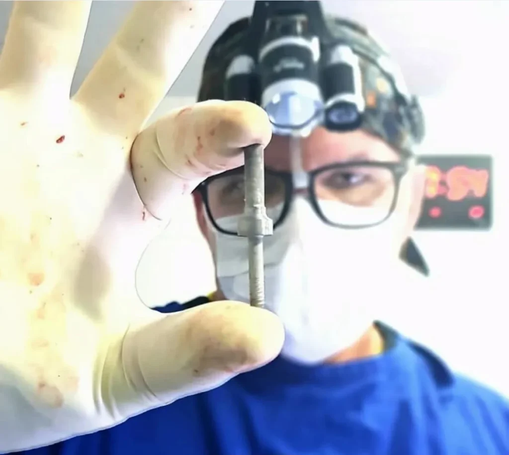 Estrutura de endoexoprote veterinário dr alan clínica ortovet